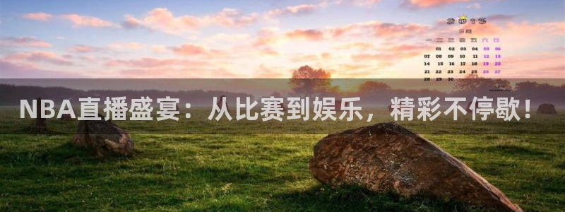 松鼠平台：NBA直播盛宴：从比赛到娱乐，精彩不停歇！