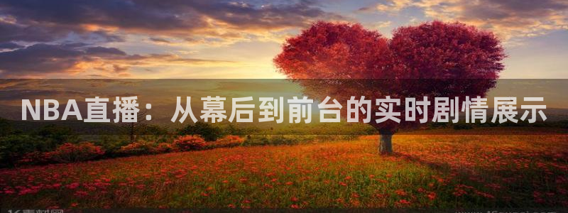 松鼠宝贝体育：NBA直播：从幕后到前台的实时剧情展示