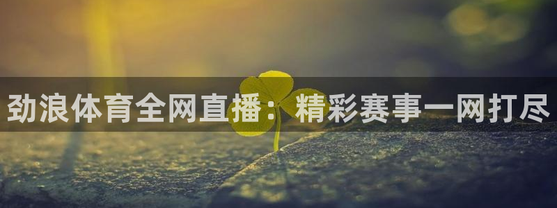 松鼠平台：劲浪体育全网直播：精彩赛事一网打尽
