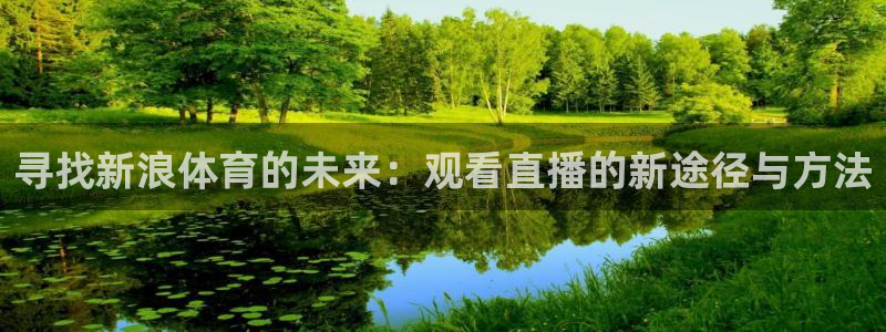 下载松鼠电视直播：寻找新浪体育的未来：观看直播的新途径与方法