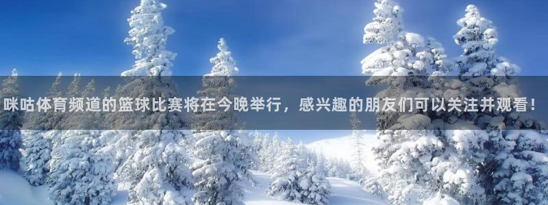 松鼠体育：咪咕体育频道的篮球比赛将在今晚举行，感兴趣的朋友们可以关注并观看！