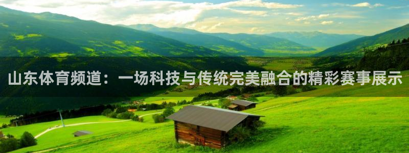 松鼠看球直播：山东体育频道：一场科技与传统完美融合的精彩赛事展示