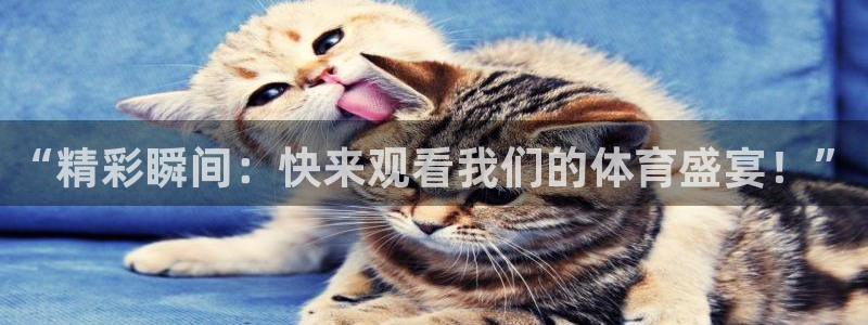 松鼠官方网站：“精彩瞬间：快来观看我们的体育盛宴！”