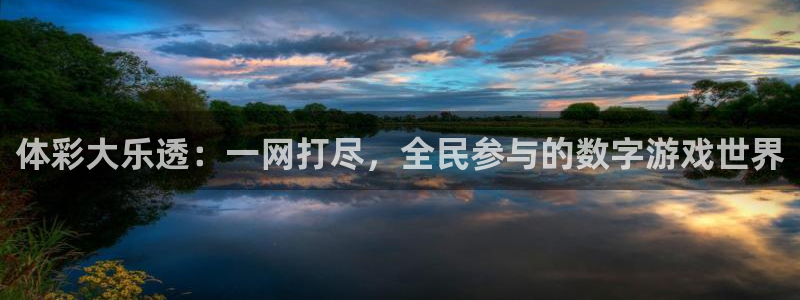 松鼠直播nba：体彩大乐透：一网打尽，全民参与的数字游戏世界