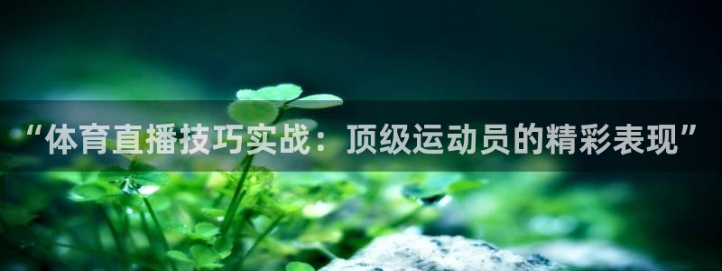 松鼠体育在线直播下载：“体育直播技巧实战：顶级运动员的精彩表现”