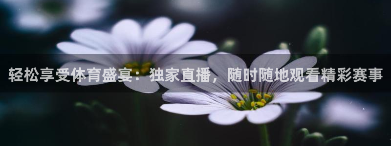 松鼠直播体育免费：轻松享受体育盛宴：独家直播，随时随地观看精彩赛事