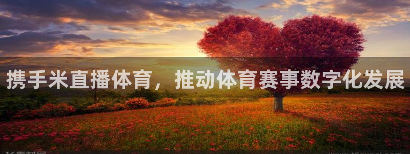 松鼠直播：携手米直播体育，推动体育赛事数字化发展