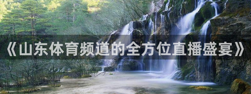 松鼠体育在线直播：《山东体育频道的全方位直播盛宴》